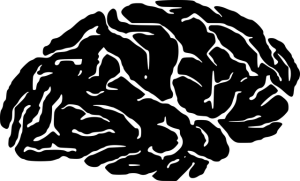 Gehirn
